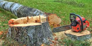 Best Tree Risk Assessment  in Uniontown, PA